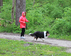 Dog walker in Grant Park, spring