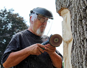 Loren Lorenzo carves a fox into a tree at Black Oak Park
