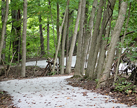 Bill Yeck Park limestone trail through the woods.
