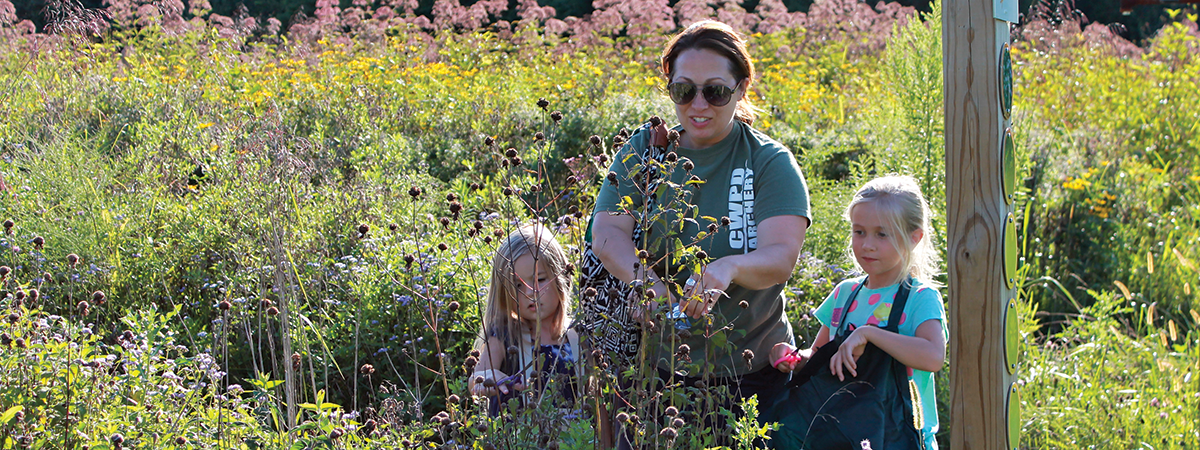 Seed nursery at Bill Yeck Park