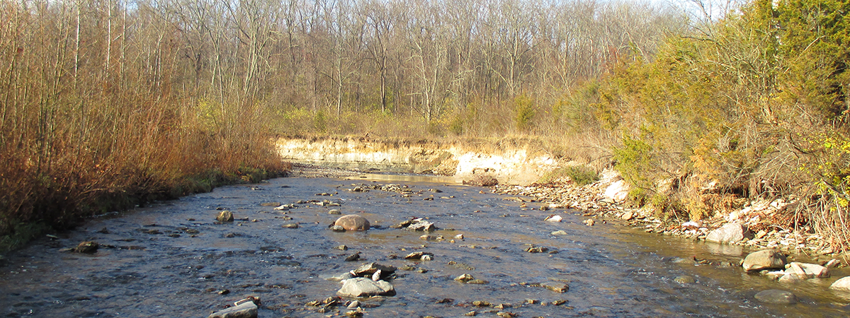 Holes Creek at Huffman Park