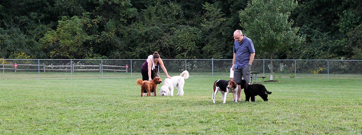 Dog Park at Oak Grove Park