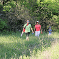 Family hike at Forest Field Park