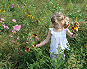 Wildflowers at Bill Yeck Park