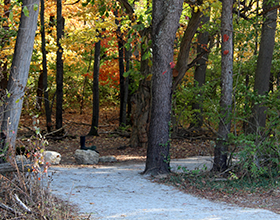 Bill Yeck Park Purple Trail -- added 2019