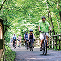 group of bikers riding on a path