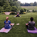 yoga session on the park lawn