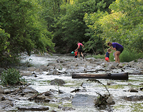 two adults and two children walking in Holes Creek at Grant Park