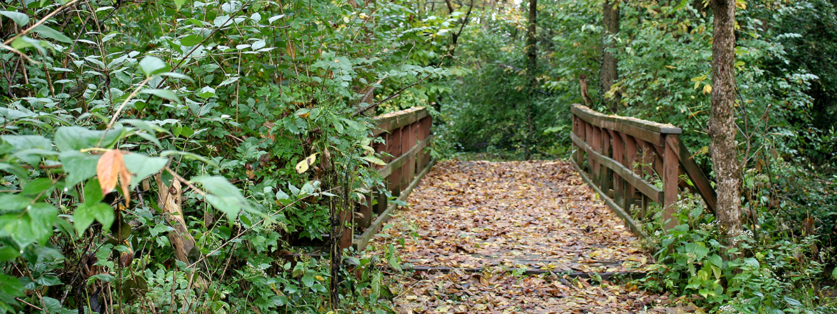 bridge in the woods at Big Bend Park in Dayton Ohio