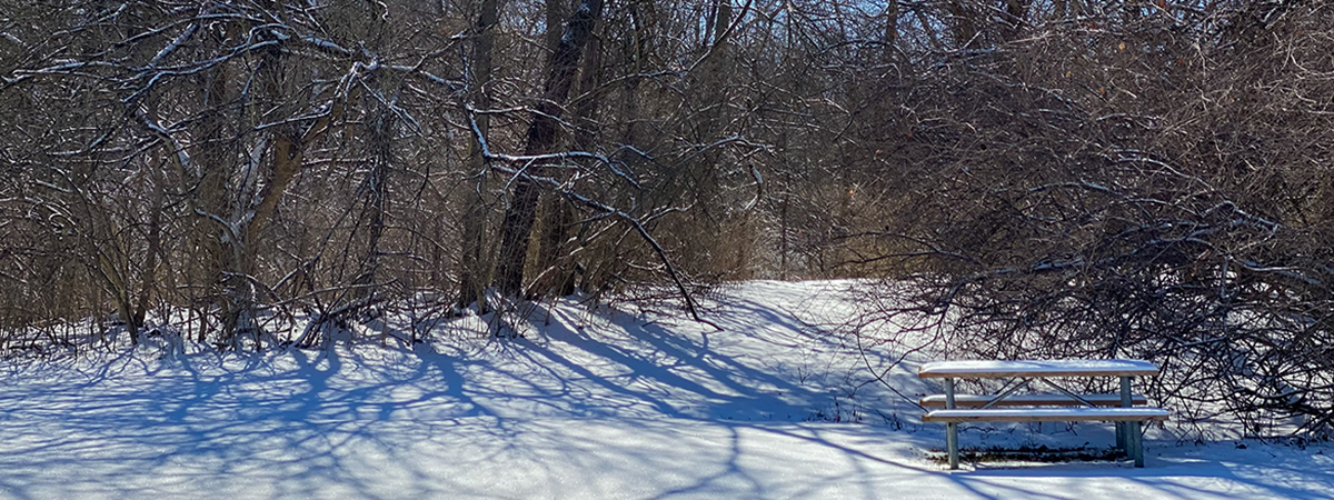 snowy picnic table at trailhead of Black Oak East Park