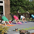 a women's fitness class stretching on yoga mats