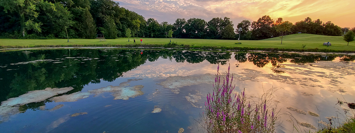 sunset over Rosewood Park pond