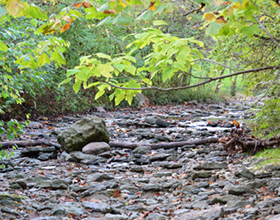 rocky creek bed
