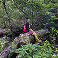 woman sitting on a fallen tree in the forest