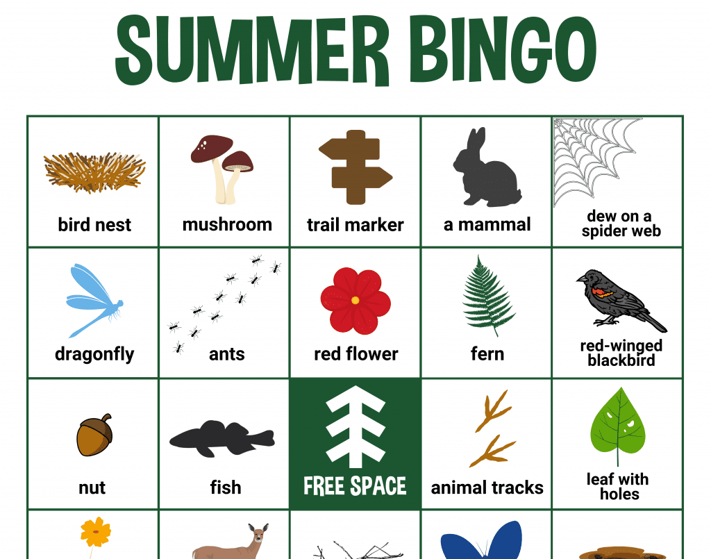 CWPD Summer Bingo Card