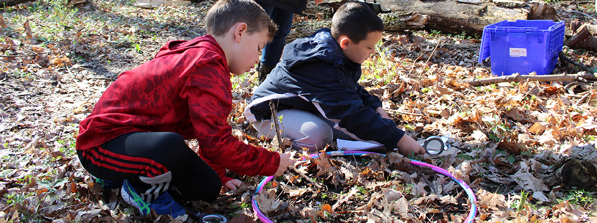 Two schoolchildren kneeling on the leaf covered ground