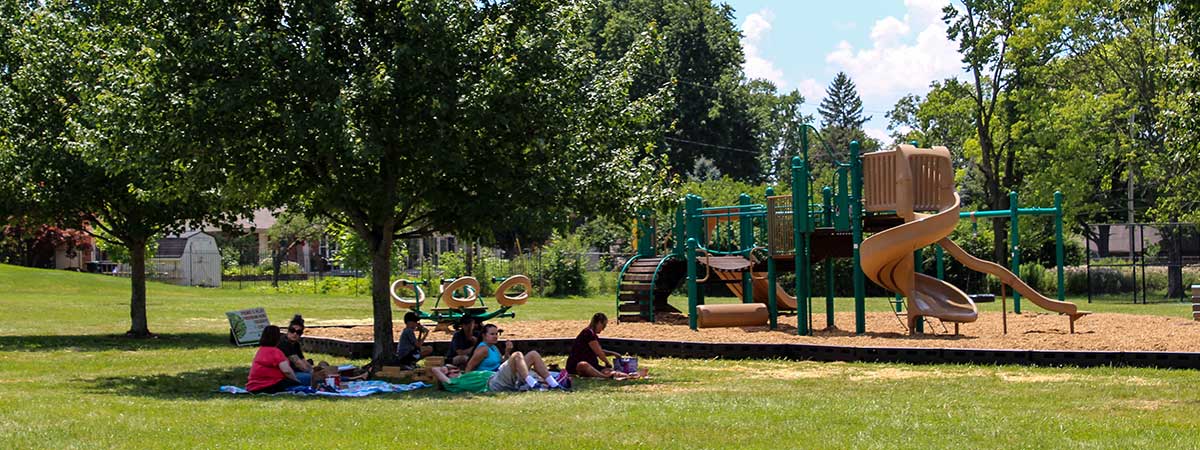 people sitting under a tree with a playground in the background