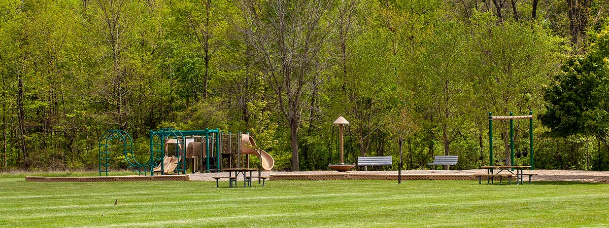 park playground with trees in the background