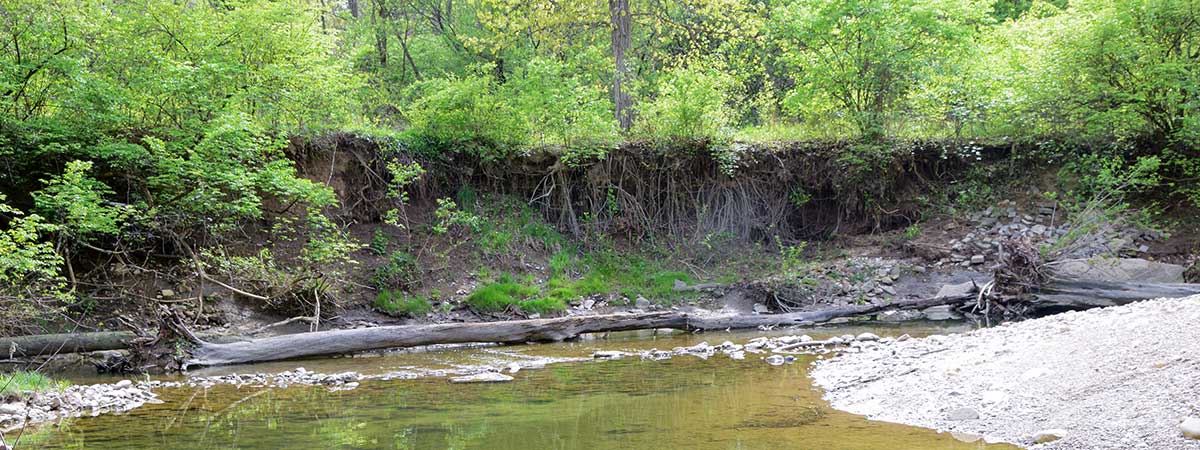 Holes Creek erosion of streambank in Grant Park