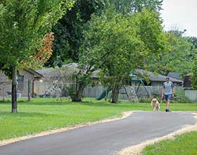 Man and dog walking on a paved path. Houses and trees in the background.