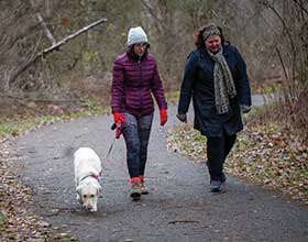 Two people in winter clothes walk a dog on a paved path