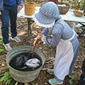 a girl in costume handwashing laundry in a tub