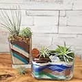 @ glass vases full of sand art with air plants on top