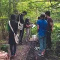 group of teenagers volunteering for the conservation crew making observations in the forest