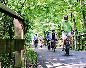 a group of people biking on a paved path