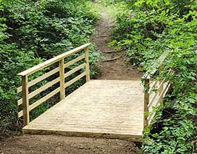 wooden bridge among trees in nature park
